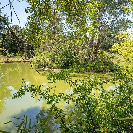 Petit Mas Calme Typique Du Sud ! Prázdninový dům